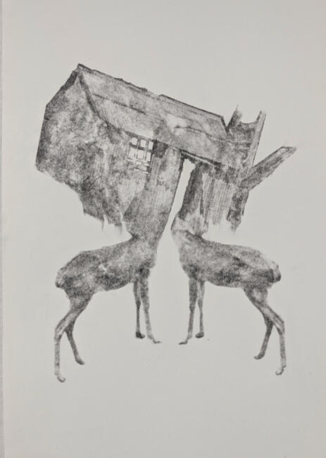 Detail Sisters series 2025