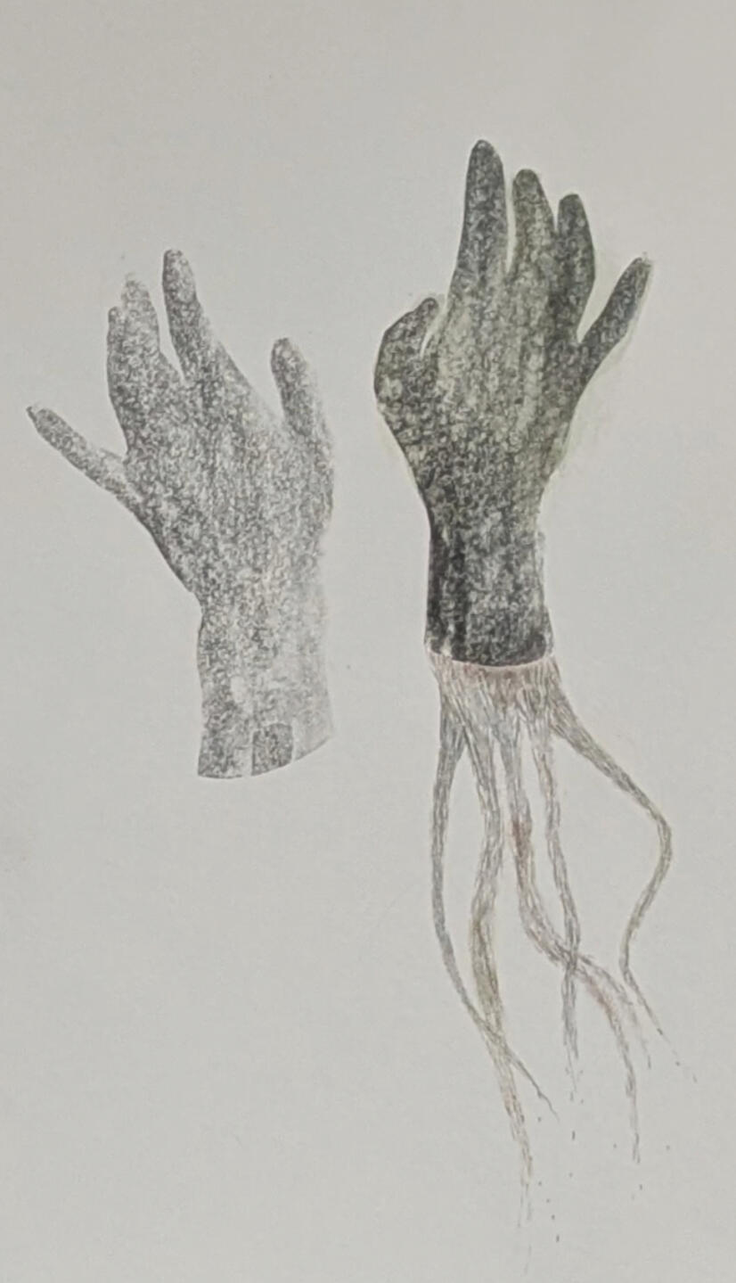 Maiden's hands 2024